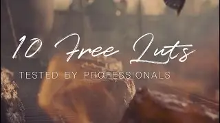 The 10 best free Luts tested by Professionals