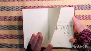 Inktober 52. Инктоубер 52. Готовые работы + Обзор скетчбука Брауберг. brauberg