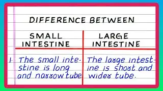 DIFFERENCES BETWEEN SMALL INTESTINE AND LARGE INTESTINE | IN ENGLISH