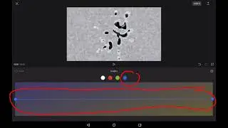 How To Make Black And White Chorded Visuals On Capcut