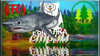 Русская рыбалка 4. # Стримик 🎁 🔞  Помощь новичкам, ник: moranhitor