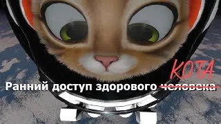 Kitten Space Agency