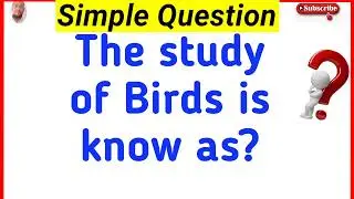 Top Intresting gk || General knowledge || quiz questions