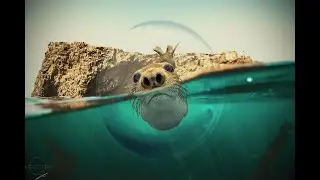 Photoshop Manipulation | Bubble Fish