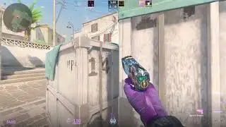 Friends are Foes in CS2 [Montage]