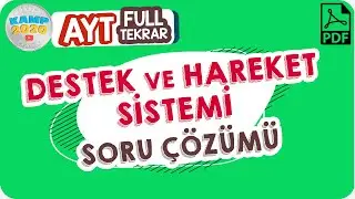 Destek ve Hareket Sistemi | AYT Full Tekrar Kampı 2020