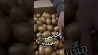 กุมารทองในไข่ทองคำ 😁