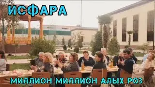 МИЛЛИОН МИЛЛИОН АЛЫХ РОЗ(качество 1080) 🌹🍃