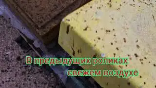 🐝🐝🐝ЗИМОВКА НА СВЕЖЕМ ВОЗДУХЕ ЗАКОНЧИЛАСЬ БЛАГОПОЛУЧНО🐝🐝🐝