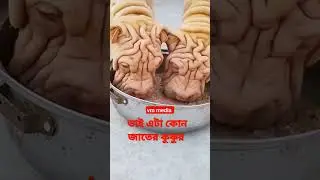 #shorts #viralvideo #youtubeshorts #youtube 😱😱😱😱