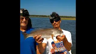 The best bait for Inshore Saltwater Fishing. Multi Species. ft.The North Florida Angler