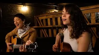 The Swallowtails - 