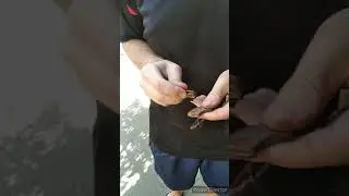 How to clean a bottle from the inside.👌 Lifehack