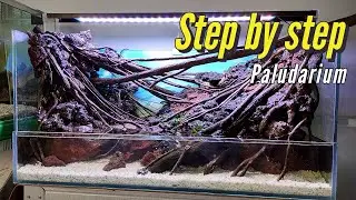 cara membuat paludarium | aqua one design | aquascaping