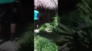 Violent KKK, screams incest with brother