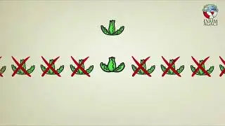 Açıkça Açıkla  Doğal Seçilim Nedir ?