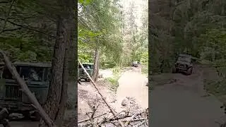 шишига 