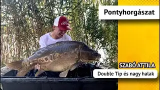 Double Tip-pel nagy halakra - Szabó Attila