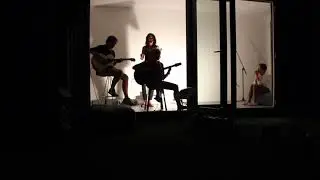 Narzissen & Kakteen -  Element of Crime - Cover