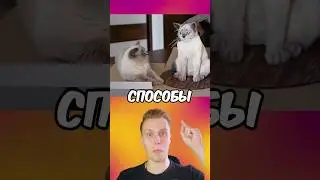 Самых Худшие Способы См$рти Животных! 😱🤯 #shorts