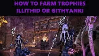 Neverwinter - How To Farm Trophies