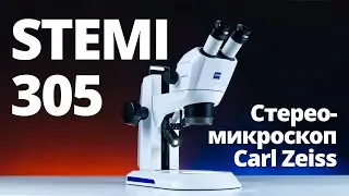 Обзор стереомикроскопа Carl Zeiss Stemi 305
