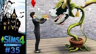 The Sims 4 - Vampire Black Widow Challenge #35 - Osmar's PAINFUL DEATH