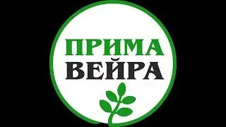 Команда ПРИМА-ВЕЙРА!