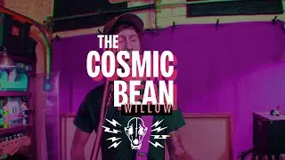 The Cosmic Bean - Willow (Dog Cop Sessions)