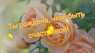 С ДНЁМ РОЖДЕНИЯ//МУЗЫКАЛЬНАЯ ОТКРЫТКА//