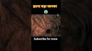 इतना बड़ा जानवर| movie explained in Hindi #hindi #explained