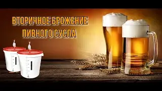 Вторичное брожение пивного сусла