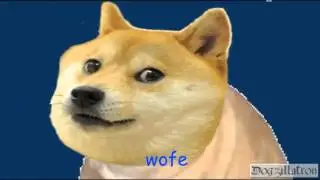 DOGEQUEST