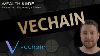 What is VeChain (VET & VTHO) in the World of Blockchains and Crypto?