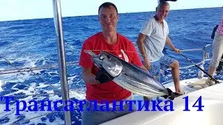 Эпизод 14. Переход через Атлантический океан на парусном катамаране Mahanga.