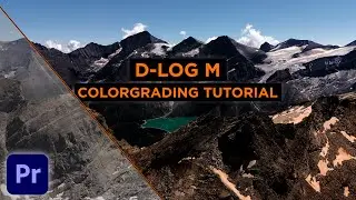 D-Log M Color Grading MADE EASY | Premiere Pro Tutorial