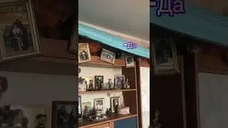 Болтушка Клепа 🥰 #прикол #кошки #сфинксы #топ