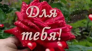 В День Рождения для тебя