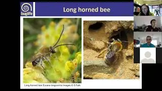 Training session » Land management for pollinators