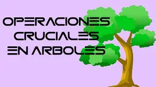 Operaciones cruciales en arboles