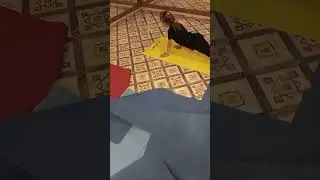Как отжимаются девочки
