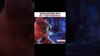 Мультфильм добавили в наш Телеграм, ссылка в описании профиля❤️Подпишись на нас 👉 @hrol.filmss 🧸