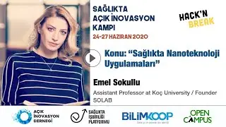 EmelSokullu