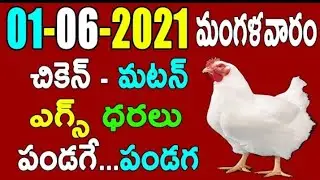# 01-06-2021 #Chicken || Eggs || mutton rates in Andhra Pradesh and Telangana
