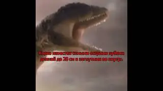 Кархородонтазавр VS Мапузавр! Кто сильнее? 🦖🔪🦕