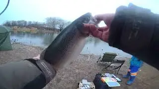 Ловля форели бомбардой на блесну.
