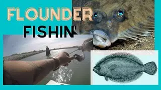 Florida Flounder Fishing!!