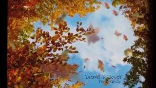 “Leaves & Clouds”