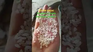28 августа 2024 г.