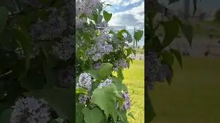 Самый зеленый, чистый и безопасный город в Европе!